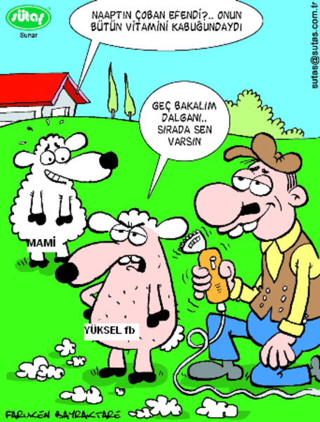 Sütaş karikatürleri Nizip.com'da Olursa.