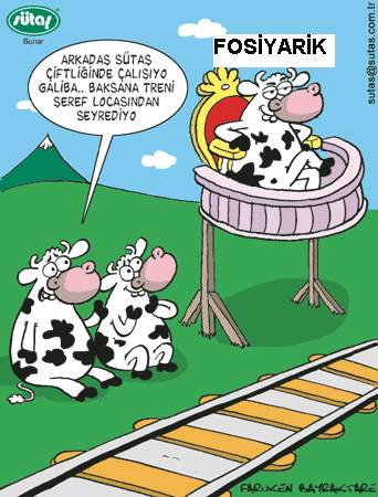 Sütaş karikatürleri Nizip.com'da Olursa.