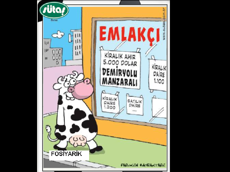 Sütaş karikatürleri Nizip.com'da Olursa.