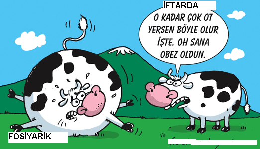 Sütaş karikatürleri Nizip.com'da Olursa.