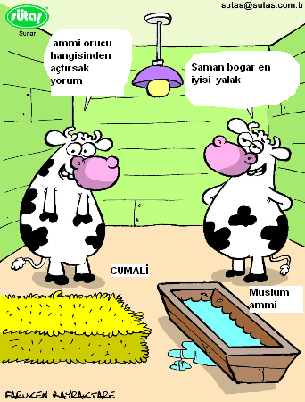 Sütaş karikatürleri Nizip.com'da Olursa.