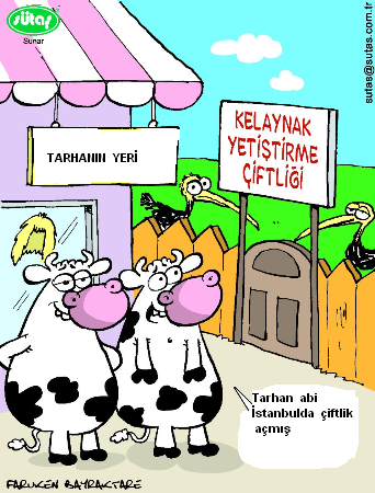 Sütaş karikatürleri Nizip.com'da Olursa.