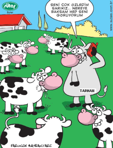 Sütaş karikatürleri Nizip.com'da Olursa.