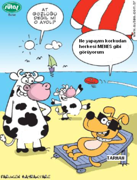 Sütaş karikatürleri Nizip.com'da Olursa.