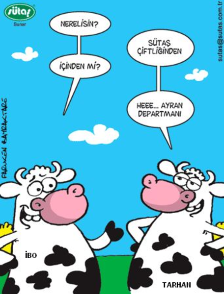 Sütaş karikatürleri Nizip.com'da Olursa.