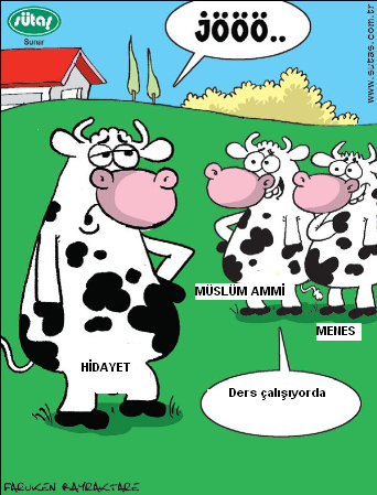 Sütaş karikatürleri Nizip.com'da Olursa.