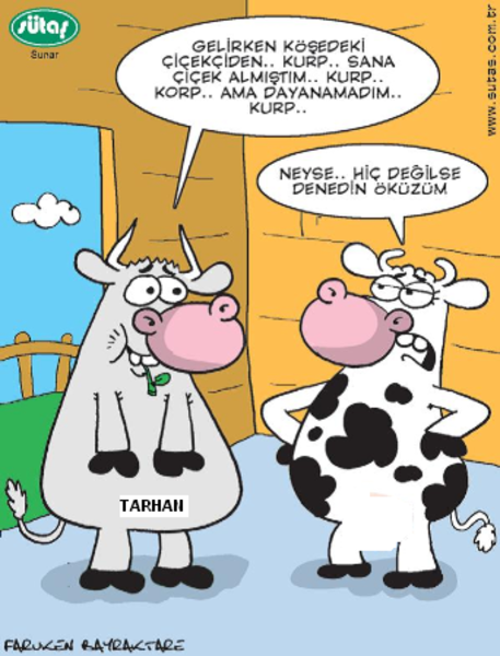 Sütaş karikatürleri Nizip.com'da Olursa.