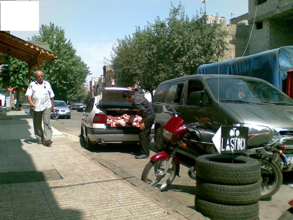 Insan sağlığı