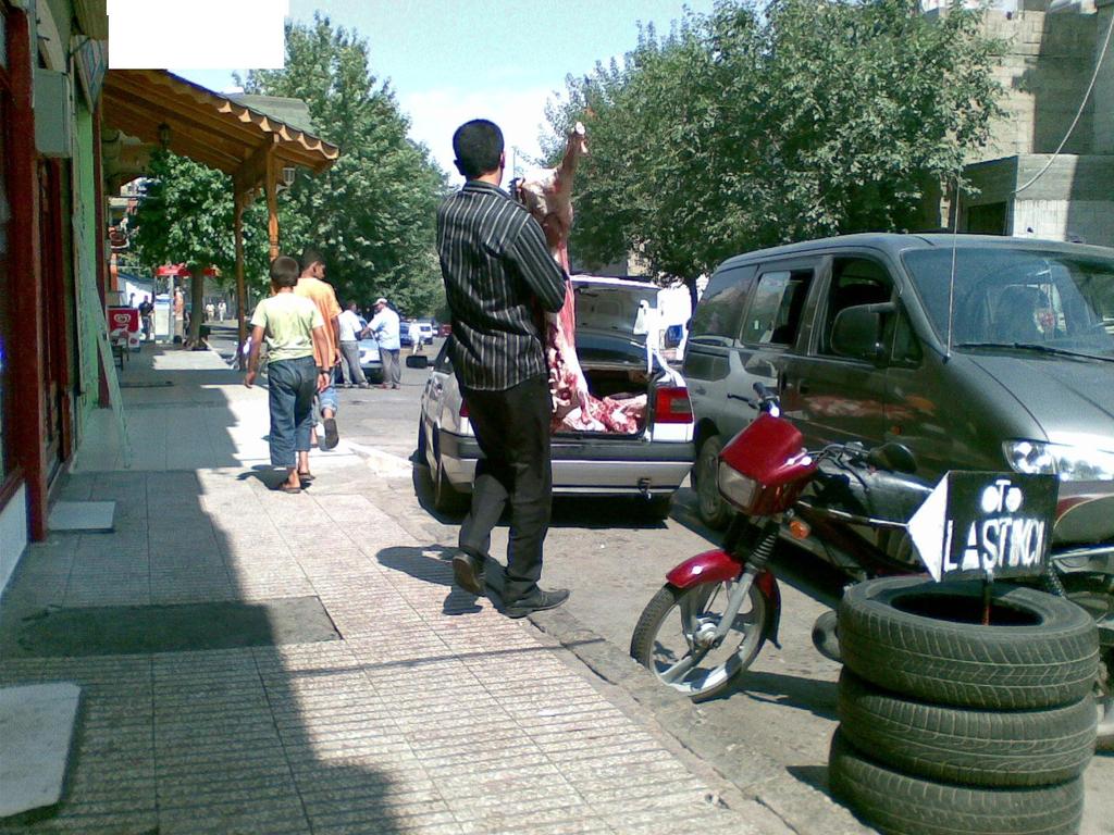 Insan sağlığı