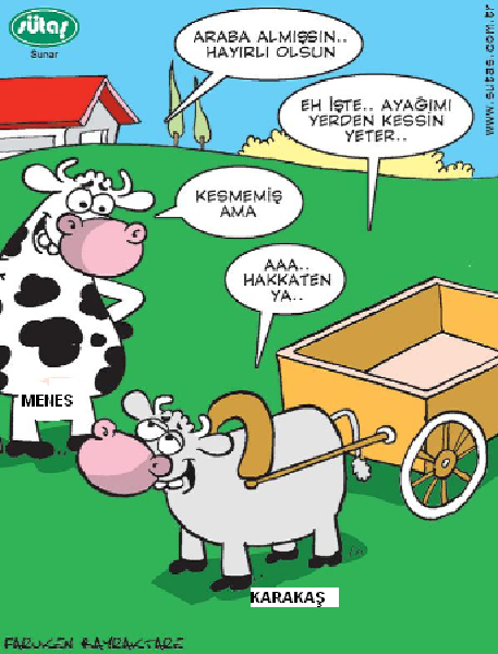 Sütaş karikatürleri Nizip.com'da Olursa.