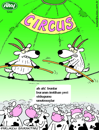 Sütaş karikatürleri Nizip.com'da Olursa.
