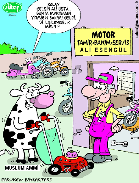 Sütaş karikatürleri Nizip.com'da Olursa.