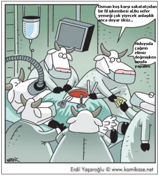 İstanbul Nizip.com yemeği