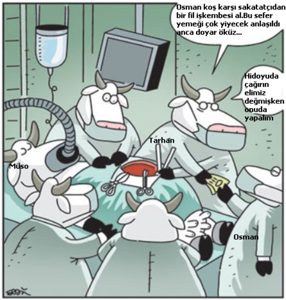 Sütaş karikatürleri Nizip.com'da Olursa.