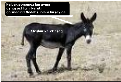 Keret eşeğinin kerameti