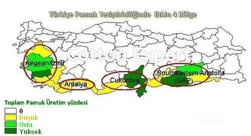 Pamuk fiyatları... Barak Ovası Pamuk Ekimini Yeniden Düşünmeli.