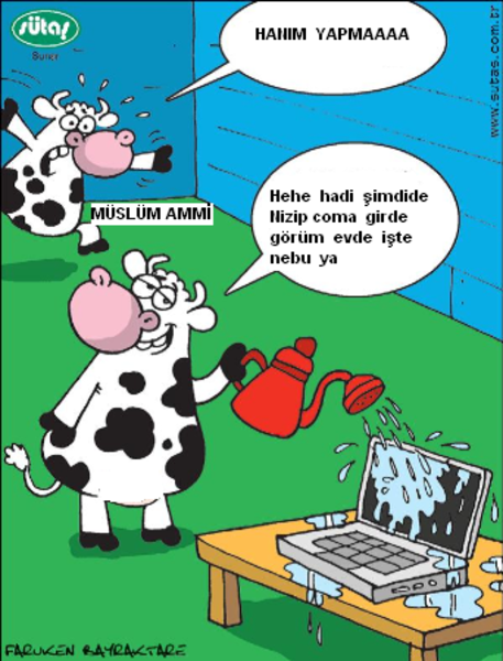 Sütaş karikatürleri Nizip.com'da Olursa.