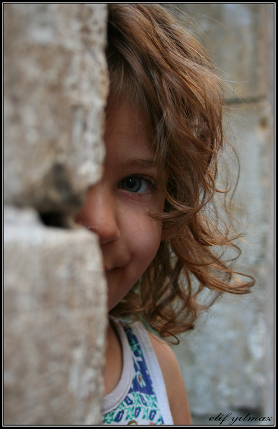 Günün fotoğrafları...