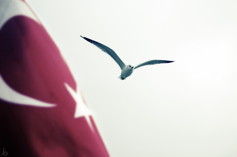 Günün fotoğrafları...