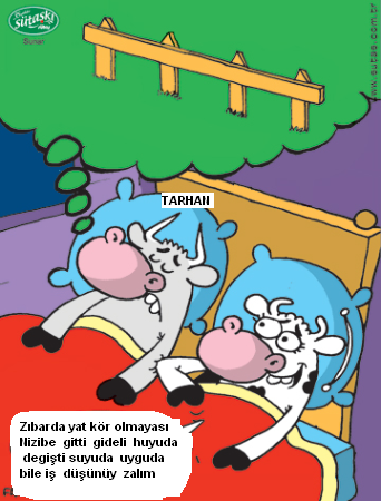 Sütaş karikatürleri Nizip.com'da Olursa.