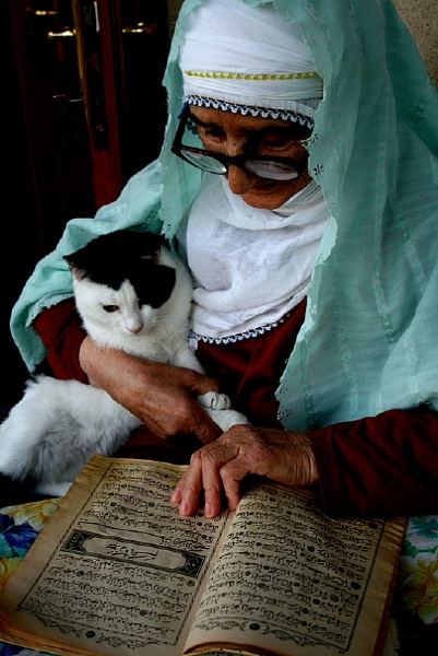 Günün fotoğrafları...