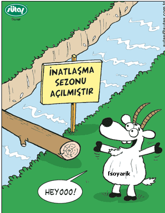 Sütaş karikatürleri Nizip.com'da Olursa.