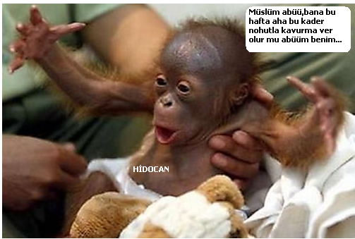 Sütaş karikatürleri Nizip.com'da Olursa.