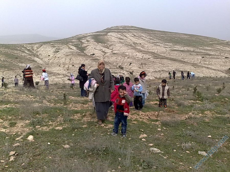 Binlerce Ağaç Diktik. Binlerce Ağaç Diktik.