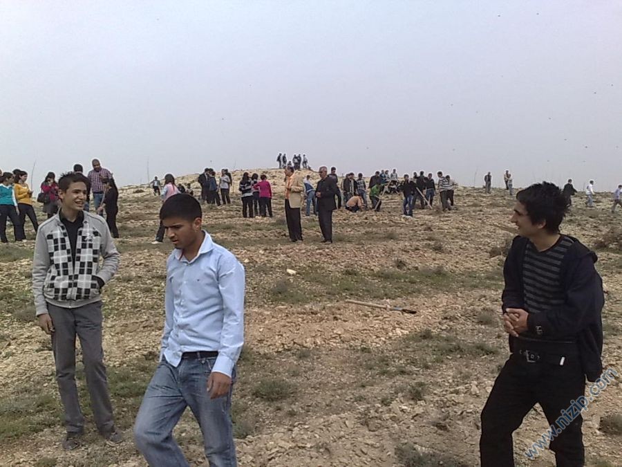Binlerce Ağaç Diktik. Binlerce Ağaç Diktik.