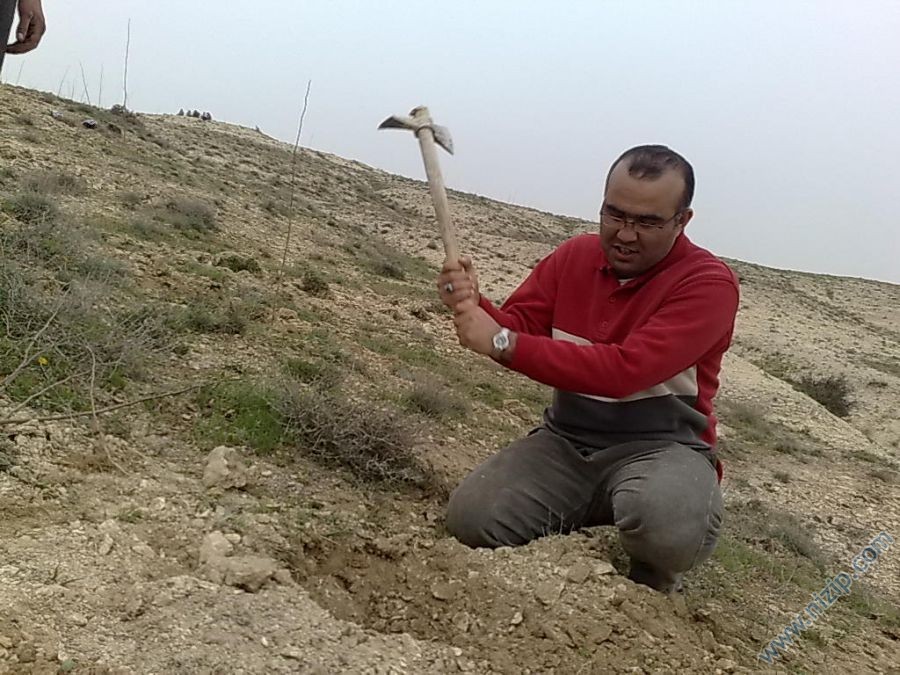 Binlerce Ağaç Diktik. Binlerce Ağaç Diktik.