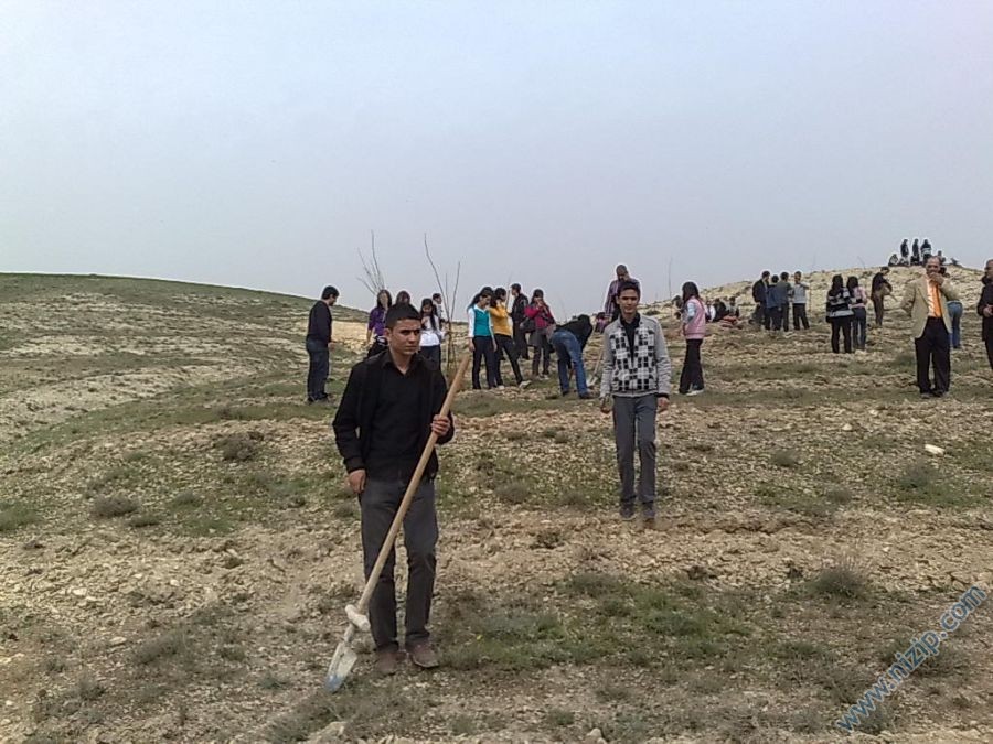 Binlerce Ağaç Diktik. Binlerce Ağaç Diktik.