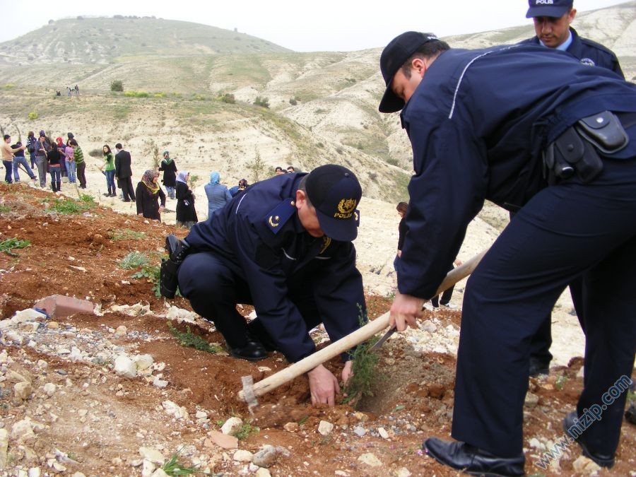 Binlerce Ağaç Diktik.