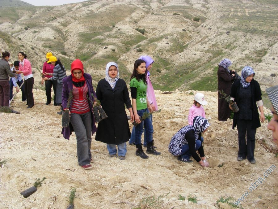 Binlerce Ağaç Diktik.