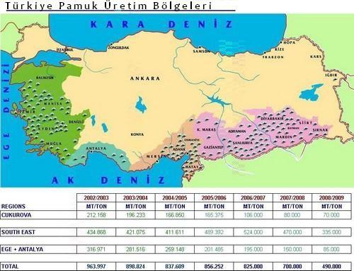 Pamuk fiyatları... Barak Ovası Pamuk Ekimini Yeniden Düşünmeli.