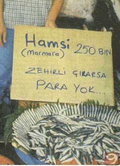 Ortaya karışık resimler..:D:D
