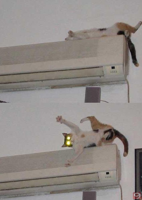 Ortaya karışık resimler..:D:D