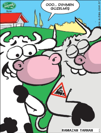 Sütaş karikatürleri Nizip.com'da Olursa.