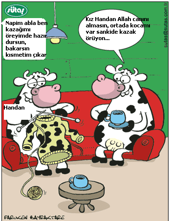 Sütaş karikatürleri Nizip.com'da Olursa.