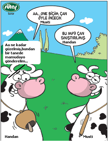 Sütaş karikatürleri Nizip.com'da Olursa.