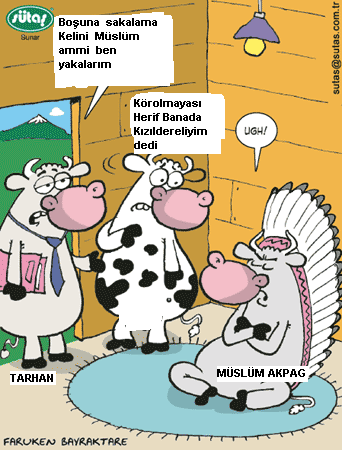 Sütaş karikatürleri Nizip.com'da Olursa.