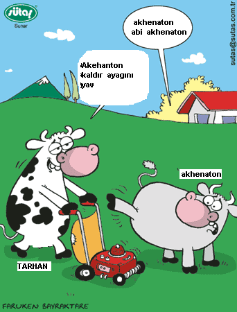 Sütaş karikatürleri Nizip.com'da Olursa.