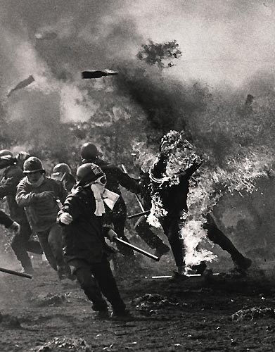 Son 50 yılın en iyi fotoğrafları (alıntıdır)