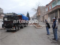 Nizip\'te Freni Boşalan Tır Çam Ağacını Biçerek Durabildi
