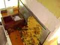 Nizip Videoları