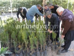 Nizip\\\'te Tüplü Çam Fidanı Dağıtıldı