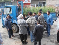 Fidan Dağıtımı Devam Etti Fidan Dağıtımı Devam Etti