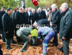 Bal Ormanına ilk fidanlar dikildi Bal Ormanına ilk fidanlar dikildi