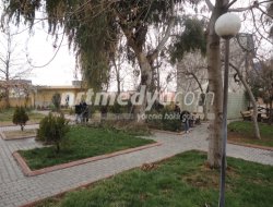 Parklarda Düzenleme Çalışmaları