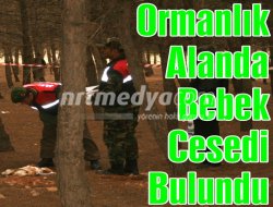 Ormanlık alanda bebek cesedi bulundugaziantepin nizip ilçesi ...