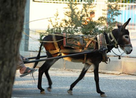 Gurbet Çilesi, Sıla Hüznü Arasında Gel Gitler